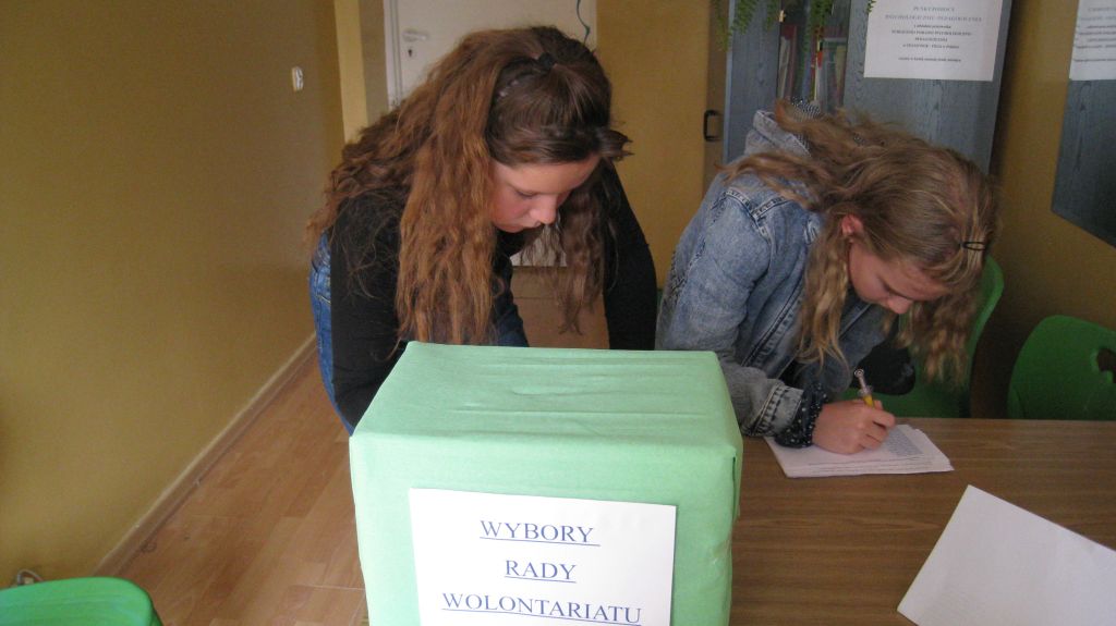 Wybór Rady Wolontariatu