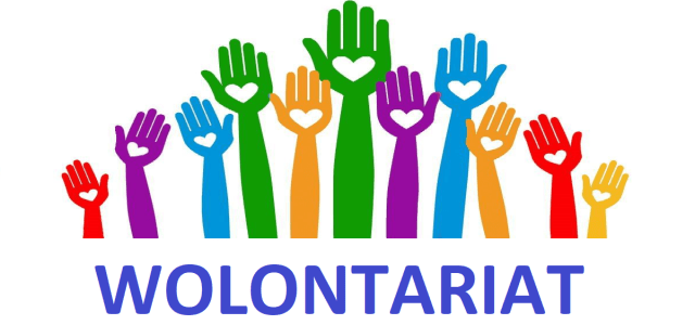 Wyniki wyborów do Rady Wolontariatu