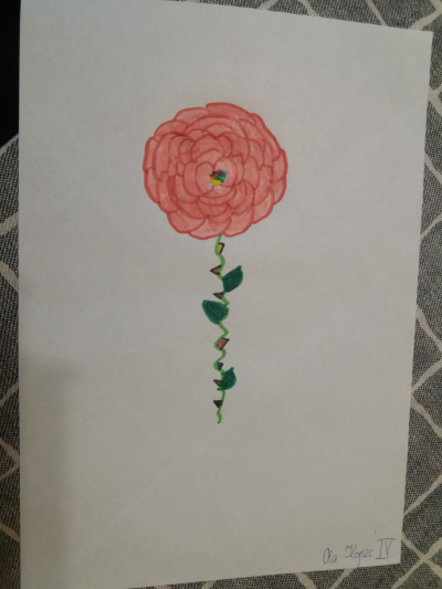 Aleksandra Kopeć.png