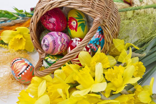 Świąteczna akcja wolontariuszy II