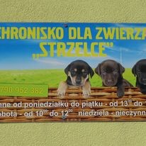 Schronisko Strzelce.jpg