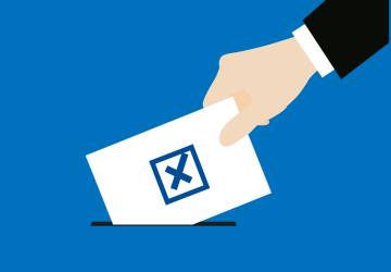 Wybory do Rady Wolontariatu