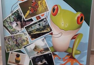 Pierwszaki w Regionalnym Centrum Promocji Obszaru Natura 2000 w Tarnobrzegu