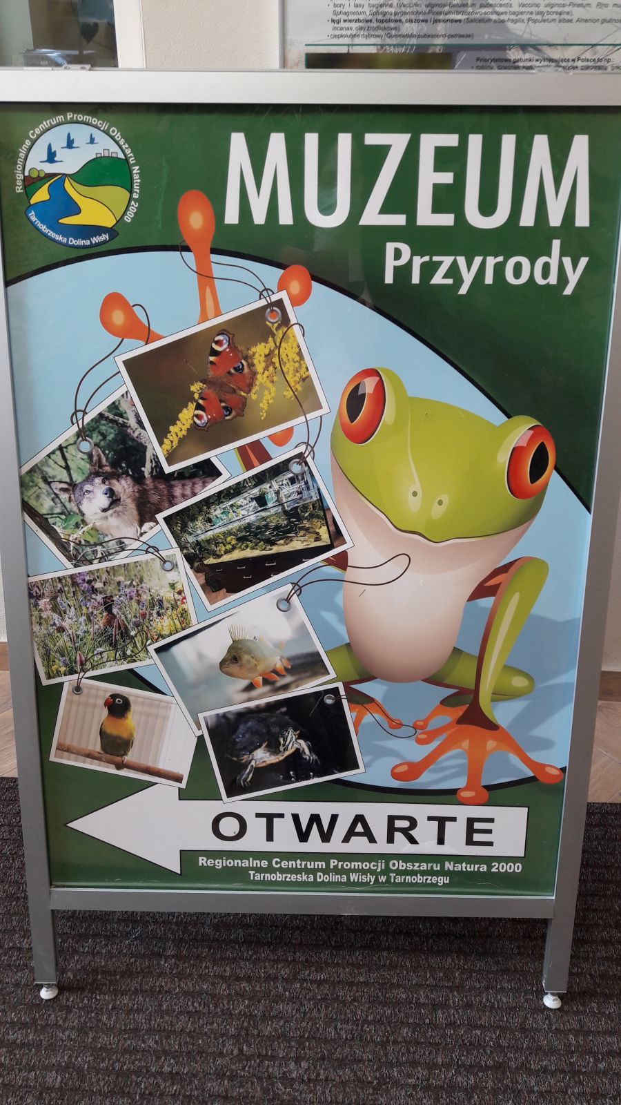 Pierwszaki w Regionalnym Centrum Promocji Obszaru Natura 2000 w Tarnobrzegu