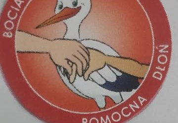 Realizacja Ogólnopolskiego Projektu Edukacyjnego Wyzwania Teodora w czterolatkach