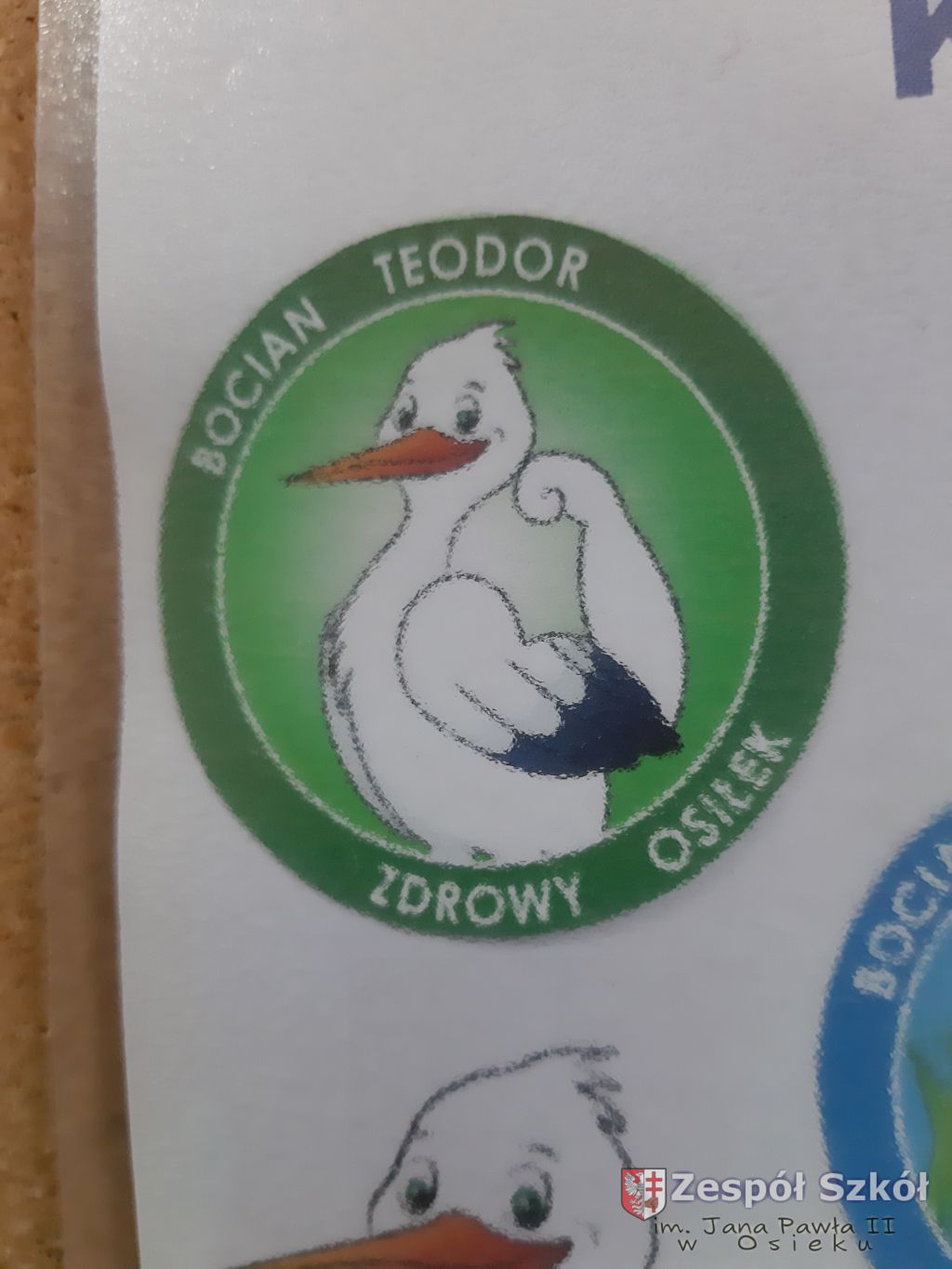 Realizacja Ogólnopolskiego Projektu Edukacyjnego Wyzwania Teodora