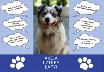 Akcja na cztery łapy dla Schroniska u Machowiaków