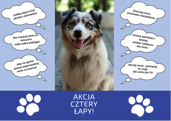 Akcja na cztery łapy dla Schroniska u Machowiaków