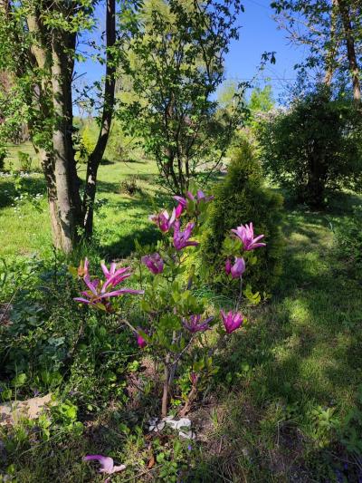 Aleksandra Kopeć.jpg