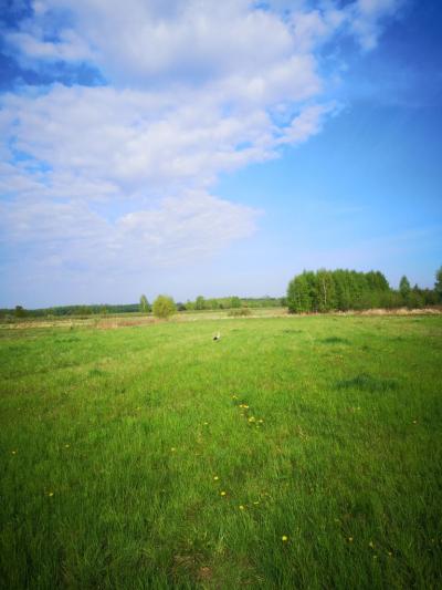 Dominik Serwan (2).jpg