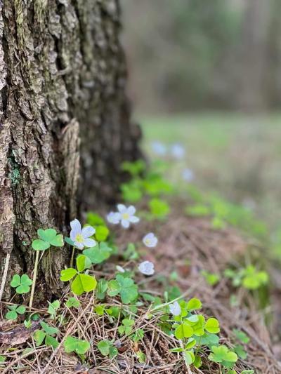 Lena Sąchocka 2.jpg