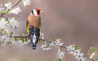 Lena Sąchocka 3.jpg