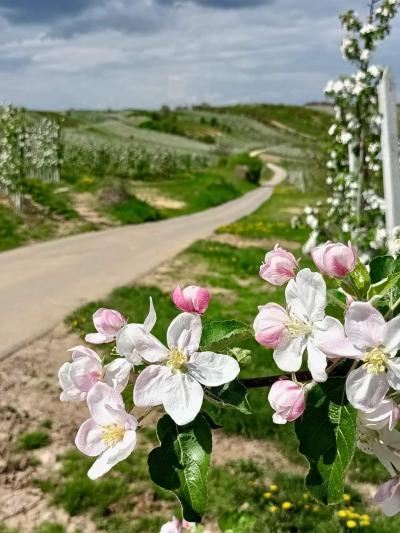 Lena Sąchocka 4.jpg