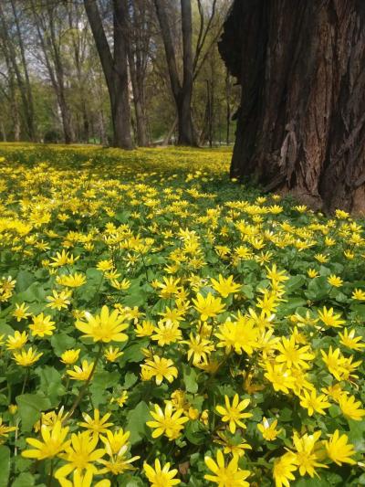 Nadia Sąchocka (2).jpg