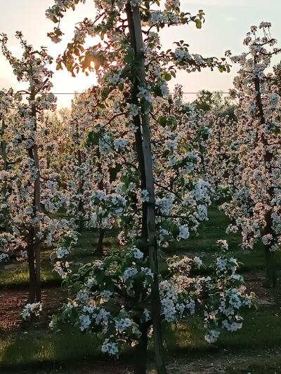 Staszewski Szymon.jpg