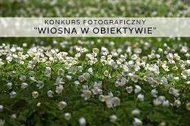 Wiosna w obiektywie - WYNIKI