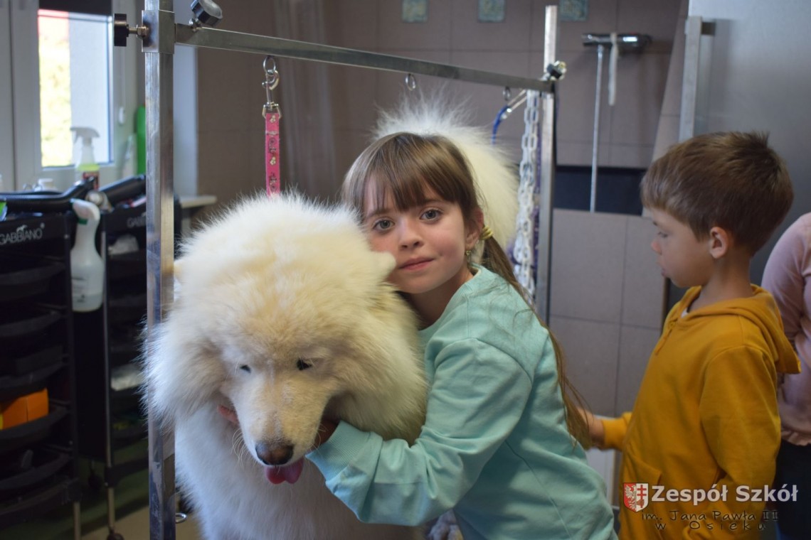 Przedszkolaki  z wizytą w Gabinecie Weterynaryjnym