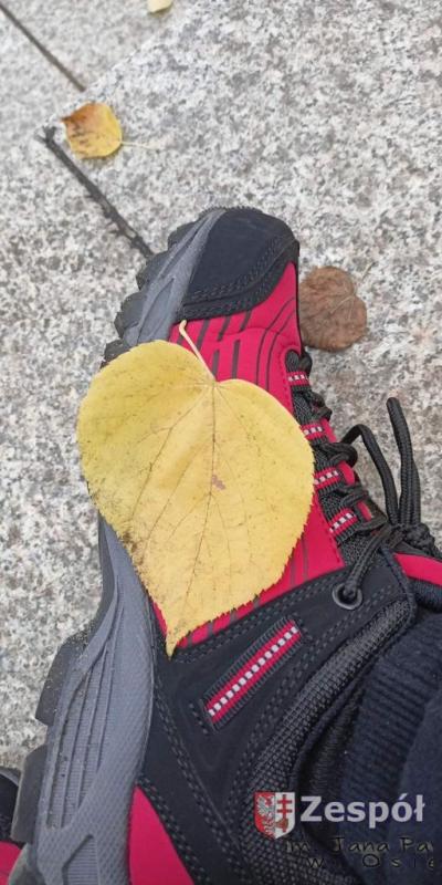 Bartosz Urbański.jpg