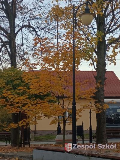 Emilia Ziejewska.jpg