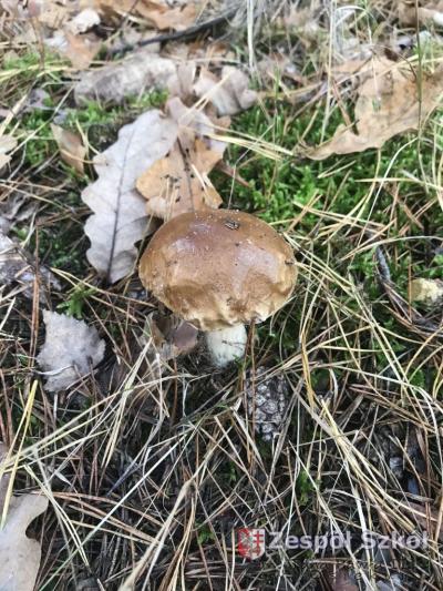 Gabriela Ciepiela.jpg