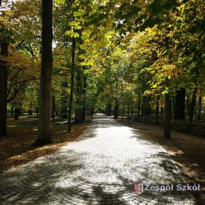 Gabriela Skowron.jpg