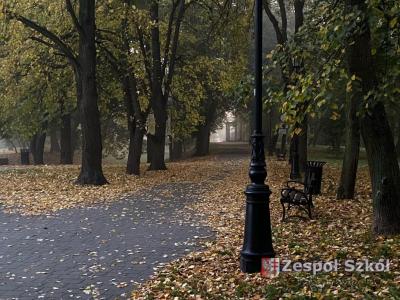 I miejsce   Oliwiwer Glica.jpg