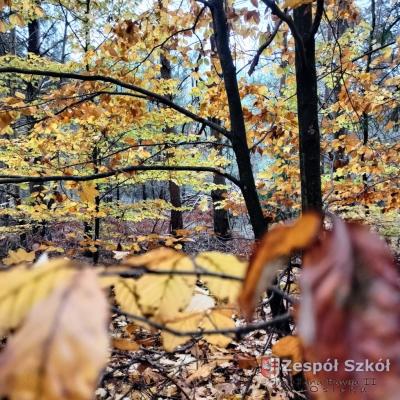 III miejsce         Filip Nieckarz.jpg