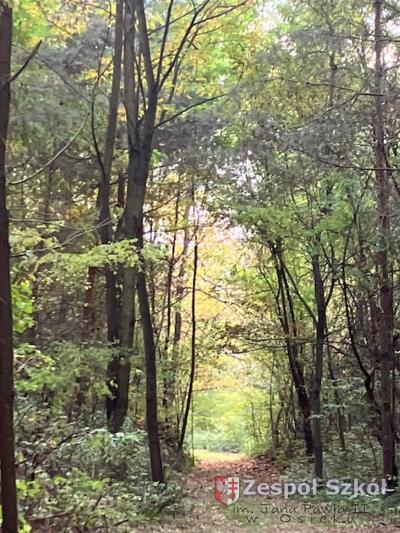 Kacper Jędrycha.jpg