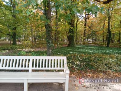 Kopeć Aleksandra.jpg