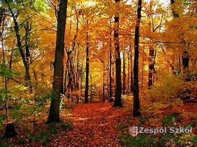 Paulina Wieczorek.jpg