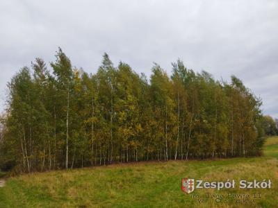 Piotr Słodkowski.jpg