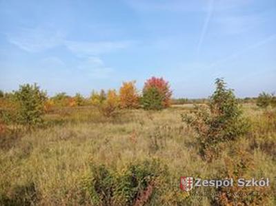 Wiktoria Kicińska.jpg