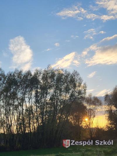 wyróżnienie     Nadia Okoń.jpg