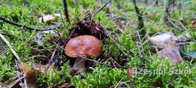 wyrtóżnienie Marcel Okoń.JPG