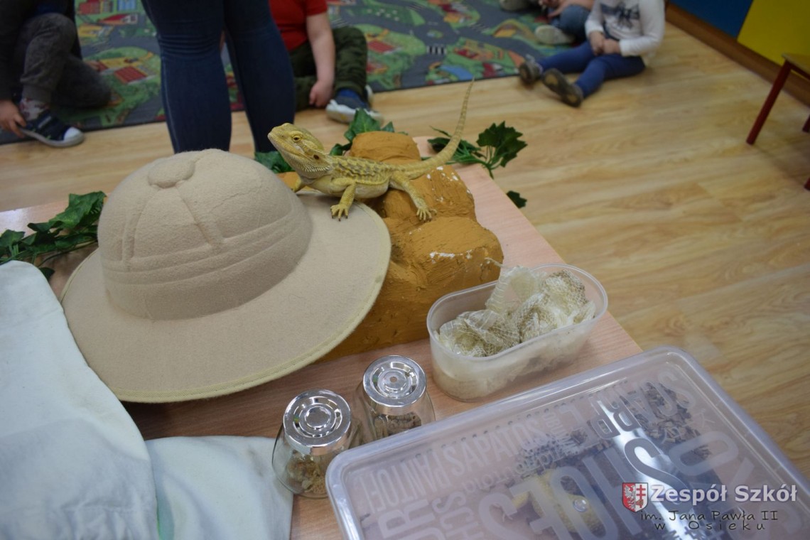 Warsztaty  egzotyczne  w  przedszkolu