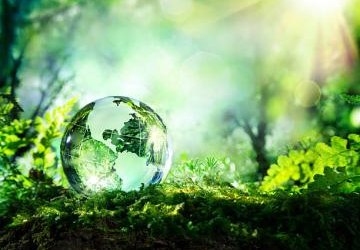 Regulamin Konkursu Wiedzy Ekologicznej