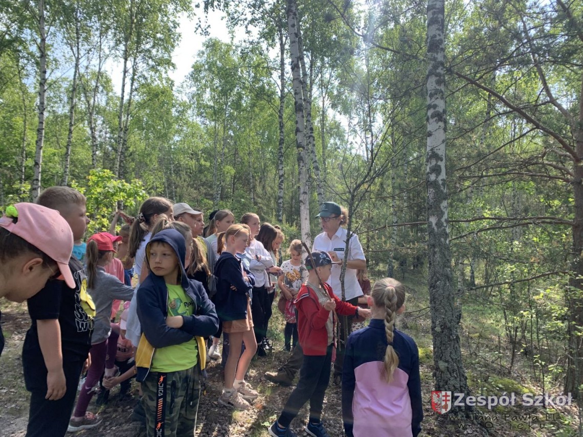 Zajęcia edukacji leśnej w Leśniczówce w Pliskowoli