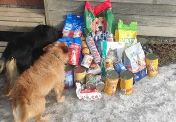 Podsumowanie akcji „Zbiórka karmy dla zwierząt przebywających w Domu Tymczasowym SOEMA”