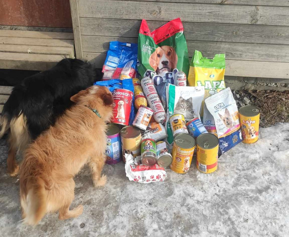 Podsumowanie akcji „Zbiórka karmy dla zwierząt przebywających w Domu Tymczasowym SOEMA”