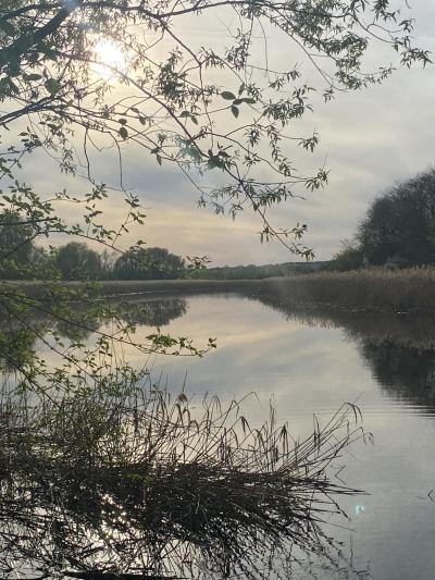 Gabriela Ciepiela.jpg