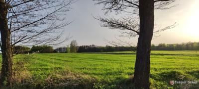 I miejsceVanessa Staszczyk.jpg