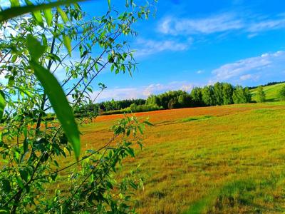 III miejsce      Karol Staszewski.jpg