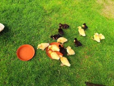 Karol Staszewski.jpg