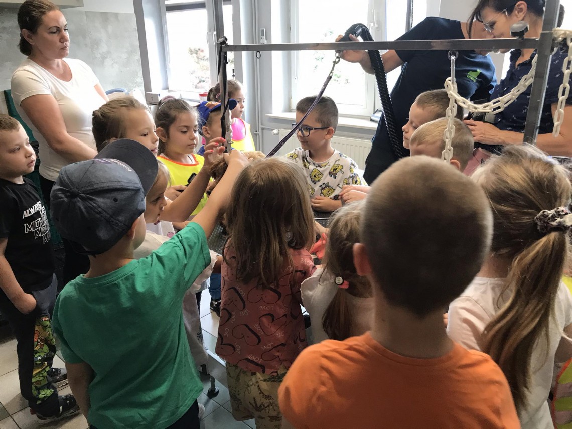 Grupa pięciolatków w gabinecie weterynaryjnym