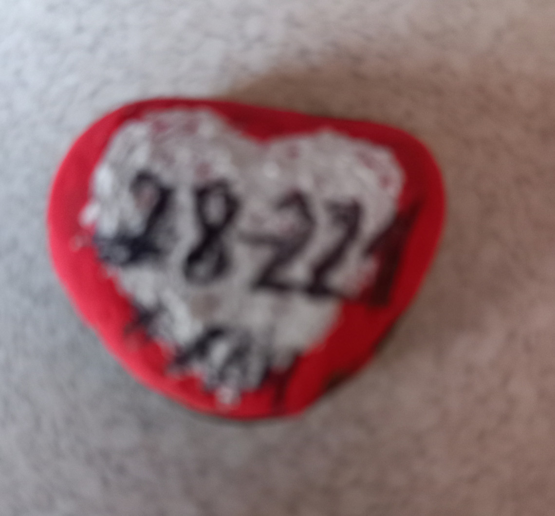 Kamyczki wyruszyły w podróż....