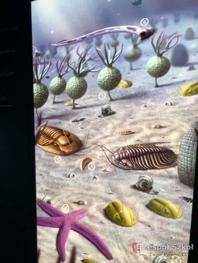 a9625e0a-5431-4f3a-bbbc-f285b459effe — kopia.jpg