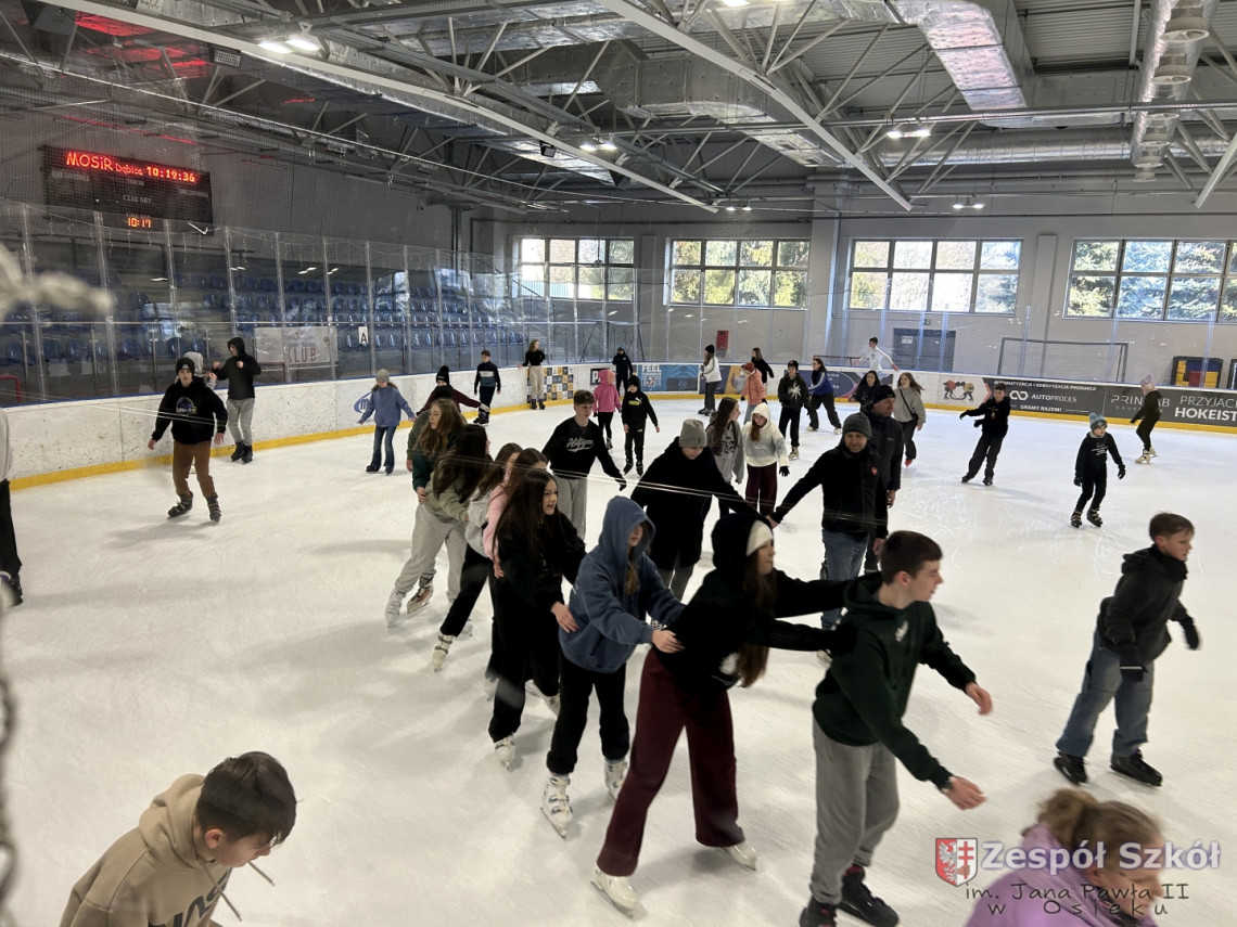 Wyjazd na lodowisko