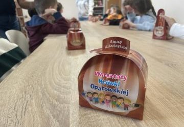 Wycieczka do Opatowa klasy IIa i IIb