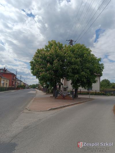 Wojtek Kiciński.jpg