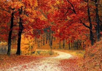 Świetlicowy Konkurs plastyczny „Barwy Jesieni”